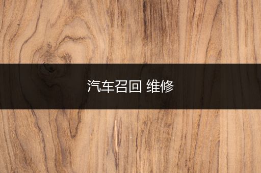 汽车召回 维修