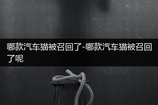 哪款汽车猫被召回了-哪款汽车猫被召回了呢