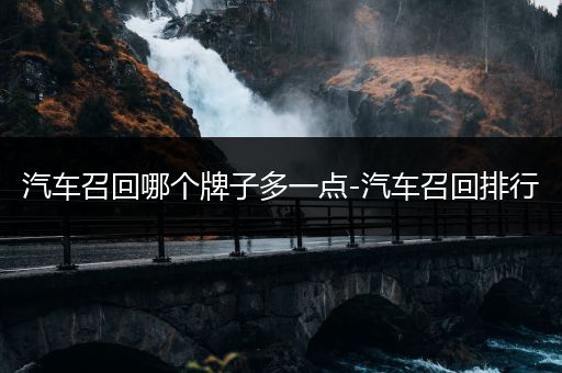 汽车召回哪个牌子多一点-汽车召回排行