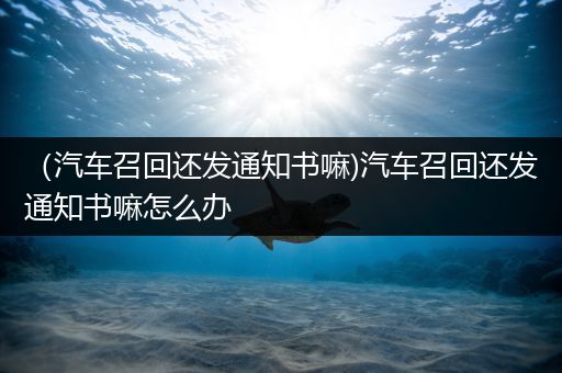 （汽车召回还发通知书嘛)汽车召回还发通知书嘛怎么办