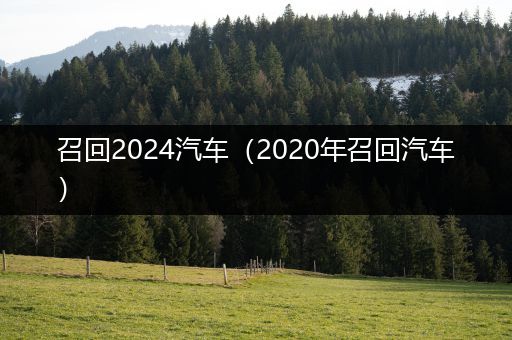 召回2024汽车（2020年召回汽车）