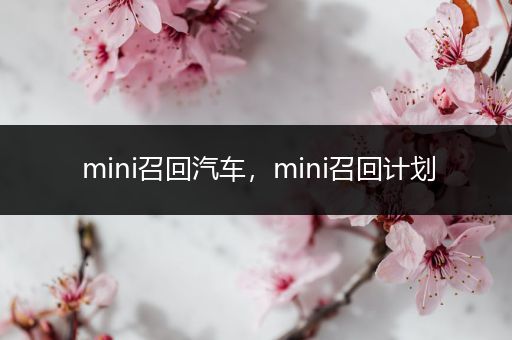 mini召回汽车，mini召回计划