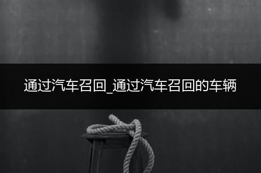 通过汽车召回_通过汽车召回的车辆