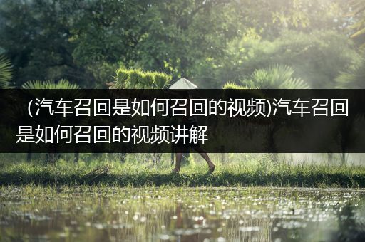 （汽车召回是如何召回的视频)汽车召回是如何召回的视频讲解