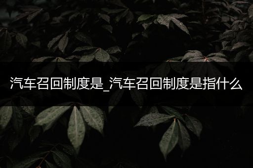 汽车召回制度是_汽车召回制度是指什么