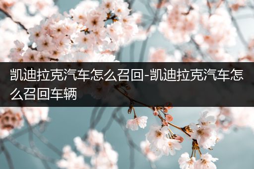 凯迪拉克汽车怎么召回-凯迪拉克汽车怎么召回车辆