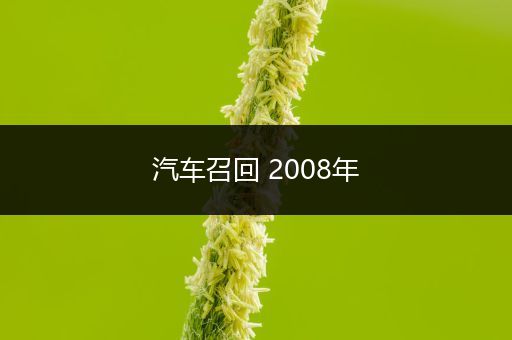 汽车召回 2008年