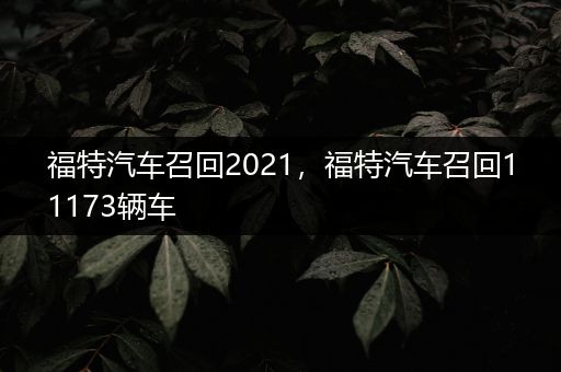 福特汽车召回2021，福特汽车召回11173辆车