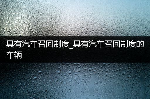 具有汽车召回制度_具有汽车召回制度的车辆