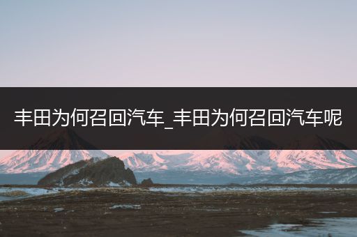 丰田为何召回汽车_丰田为何召回汽车呢