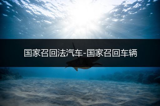 国家召回法汽车-国家召回车辆