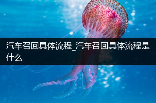 汽车召回具体流程_汽车召回具体流程是什么