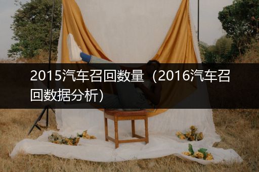 2015汽车召回数量（2016汽车召回数据分析）