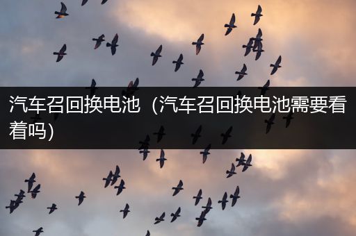 汽车召回换电池（汽车召回换电池需要看着吗）