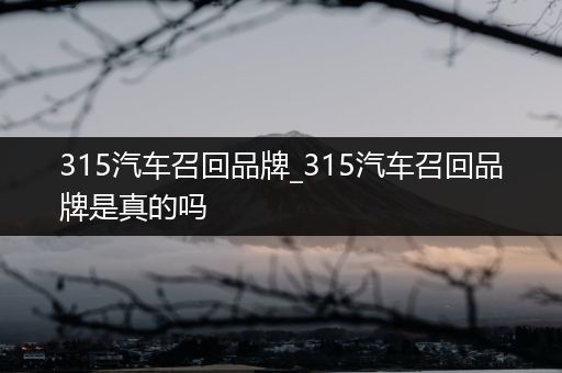 315汽车召回品牌_315汽车召回品牌是真的吗